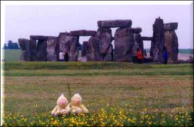 What are those stupid rocks over there